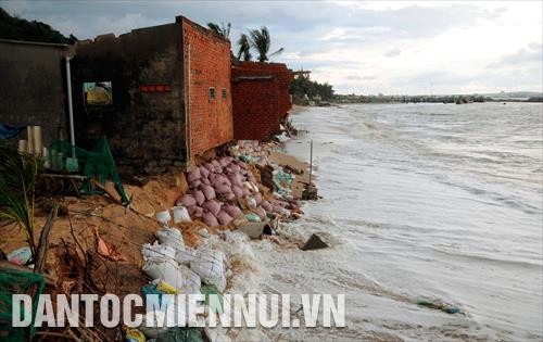 Bờ biển Bình Thuận có chiều dài 192 km, trong đó có 6 đoạn bờ biển thường xảy ra xói lở nghiêm trọng như: đoạn bờ biển xã Tiến Thành (thành phố Phan Thiết), bờ biển thị trấn Liên Hương (huyện Tuy Phong), bờ biển Phước Lộc, Tân Phước (Thị xã La Gi)… Theo sở Tài nguyên và Môi trường tỉnh Bình Thuận, do cấu trúc địa chất ven bờ biển gồm cát, đất bở rời nên dễ dàng bị xói lở khi có sóng biển vỗ mạnh vào bờ. Mỗi năm, có những vùng biển xâm thực mạnh vào đất liền từ 10 - 20m. Trong ảnh: Triều cường, sóng biển lớn đã xâm thực sâu vào khu dân cư thôn Tiến Đức (xã Tiến Thành, Thành phố Phan Thiết, tỉnh Bình Thuận) làm sập và hư hỏng nhiều căn nhà của người dân. Ảnh: Phúc Thanh
