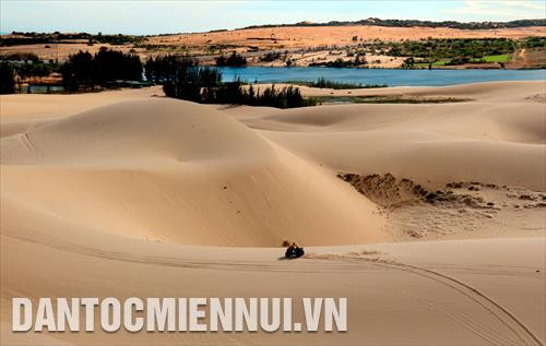 Để chống lại việc sa mạc hóa, tỉnh Bình Thuận đã tận dụng tốt các vị trí địa lý và khai thác triệt để lợi thế phong phú về địa hình cảnh quan, tài nguyên du lịch cát, gió, biển,… với những triền dốc thoai thoải, dải cát vàng, đồi cát trắng mịn màng, tạo nên những sản phẩm du lịch sa mạc đặc trưng tại địa phương, góp phần đem lại nguồn thu nhập của người dân trong vùng.Trong ảnh: Những đồi cát trắng hàng nghìn ha và cao đến 40-50m tại xã Hòa Thắng, huyện Bắc Bình, tỉnh Bình thuận. Ảnh: Nguyễn Thanh