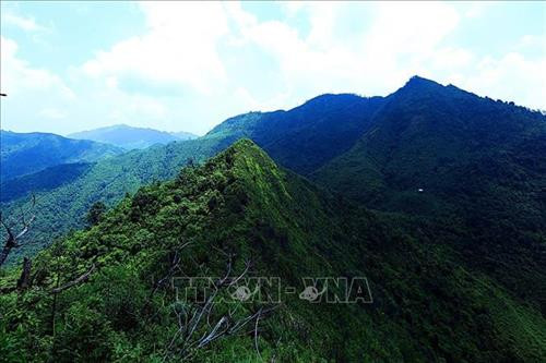 Đỉnh Pú Huốt hình dáng nhọn, như chiếc sừng cắm thẳng lên trời. Ảnh: Phan Tuấn Anh - TTXVN Đỉnh Pú Huốt hình dáng nhọn, như chiếc sừng cắm thẳng lên trời. Ảnh: Phan Tuấn Anh - TTXVN