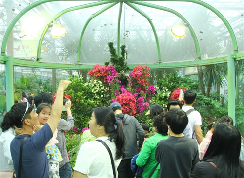 Lễ hội bướm Hampyeong thu hút du khách nhí ảnh 9