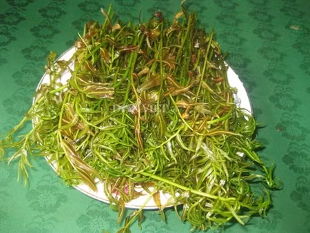 Đọt choại Hậu Giang ngon khó quên ảnh 1