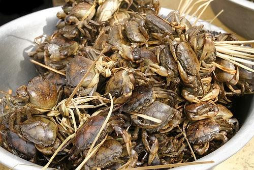 Nuôi cua đang là nghề hấp dẫn. Ảnh: kythuatnuoitrong.edu.vn Nuôi cua đang là nghề hấp dẫn. Ảnh: kythuatnuoitrong.edu.vn