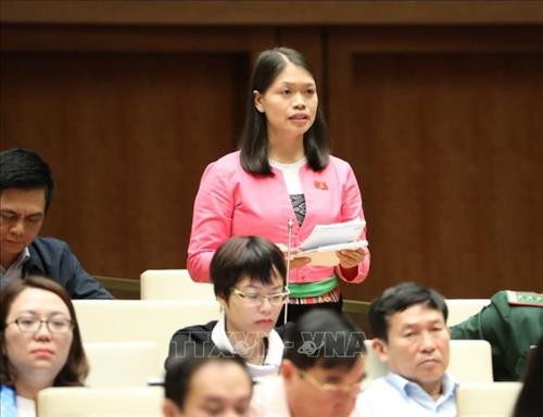 Đại biểu Quốc hội tỉnh Phú Thọ Đinh Thị Bình phát biểu. Ảnh: Văn điệp - TTXVN