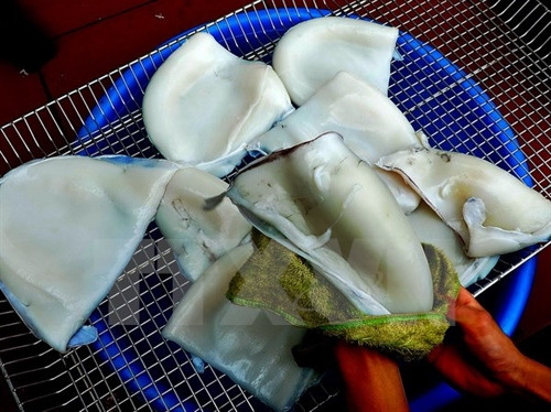 Nguồn nguyên liệu chính để tạo nên món chả mực đặc sản là mực mai. Những con mực làm chả được chọn mua rất kỹ lưỡng