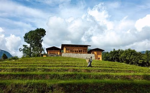 Khách sạn được công ty COMO đầu tư xây dựng với tầm nhìn hướng thẳng đến dãy Himalaya hùng vĩ và dòng sông Mo Chhu thơ mộng uốn lượn qua những cánh đồng ruộng bậc thang. Ảnh: ComoHotels. Khách sạn tọa lạc trên một thung lũng với rải rác các đền thờ và trang trại, đây là nơi nghỉ ngơi lý tưởng cho những du khách muốn viếng thăm Tu viện Tiger's Nest nổi tiếng. Ngoài ra, ở Uma còn cung cấp dịch vụ spa, phương pháp trị liệu truyền thống của châu Á, du khách có thể thư giãn bằng cách tắm bằng đá nóng, mát xa hoặc chăm sóc mặt. Ảnh: ComoHotels.