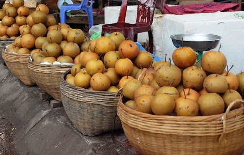 Lê Đông Khê nằm trong tốp 50 đặc sản trái cây nổi tiếng Việt Nam được Viện Nghiên cứu cây ăn quả miền Nam, Phòng Chỉ dẫn địa lý của Cục Sở hữu trí tuệ và các địa phương công nhận. Lê Đông Khê nằm trong tốp 50 đặc sản trái cây nổi tiếng Việt Nam được Viện Nghiên cứu cây ăn quả miền Nam, Phòng Chỉ dẫn địa lý của Cục Sở hữu trí tuệ và các địa phương công nhận.