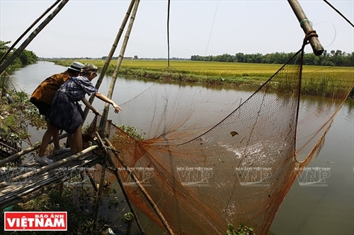 Chợ quê cầu ngói Thanh Toàn ảnh 13