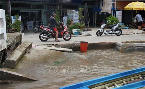Công trình chống sạt lở cho khu vực chợ Đất Mũi đã bị sạt lở. Ảnh: Huỳnh Thế Anh - TTXVN Công trình chống sạt lở cho khu vực chợ Đất Mũi đã bị sạt lở. Ảnh: Huỳnh Thế Anh - TTXVN