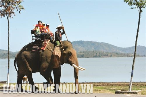 Quang cảnh bình yên trên hồ Lắk. Ảnh: Tuấn Anh Du khách trải nghiệm kéo lưới đánh cá trên hồ Lắk. Ảnh: Tuấn Anh Thật tuyệt vời khi du khách được trải nghiệm cảm giác lắc lư trên lưng những chú voi đi dạo trên hồ Lắk. Ảnh: Tuấn Anh Quang cảnh bình yên trên hồ Lắk. Ảnh: Tuấn Anh Du khách trải nghiệm kéo lưới đánh cá trên hồ Lắk. Ảnh: Tuấn Anh Thật tuyệt vời khi du khách được trải nghiệm cảm giác lắc lư trên lưng những chú voi đi dạo trên hồ Lắk. Ảnh: Tuấn Anh