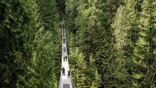 Cầu treo Capilano, Canada: Với chiều dài 137m, cao khoảng 70m, cầu treo Capilano bắc qua con sông Pilano ở thành phố Vancouver (Canada). Khoảng năm 1889, George Grant Mackay, kiến trúc sư gốc Scotland đã làm cây cầu treo bằng dây thừng bện từ cây gai dầu, mặt cầu dùng gỗ tuyết tùng với sự giúp đỡ của 2 người bản địa. Sau nhiều lần đổi chủ nhân, năm 1956, cây cầu được xây mới hoàn toàn. Những du khách sợ độ cao thường không dám bước đi trên cây cầu mặc dù mặt cầu rất rộng và hai bên đều được bọc lưới cao cùng dàn cáp chắc chắn. Cầu treo Capilano, Canada: Với chiều dài 137m, cao khoảng 70m, cầu treo Capilano bắc qua con sông Pilano ở thành phố Vancouver (Canada). Khoảng năm 1889, George Grant Mackay, kiến trúc sư gốc Scotland đã làm cây cầu treo bằng dây thừng bện từ cây gai dầu, mặt cầu dùng gỗ tuyết tùng với sự giúp đỡ của 2 người bản địa. Sau nhiều lần đổi chủ nhân, năm 1956, cây cầu được xây mới hoàn toàn. Những du khách sợ độ cao thường không dám bước đi trên cây cầu mặc dù mặt cầu rất rộng và hai bên đều được bọc lưới cao cùng dàn cáp chắc chắn.