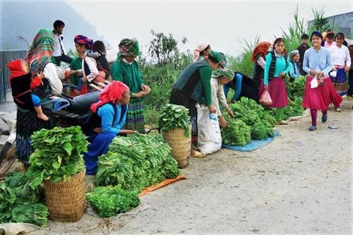 Chiều khách Thử áo Chọn lựa Giao lưu Góc chợ Lũng Pài Ngày chợ phiên Rực rỡ sắc màu Góc chợ Hàng hóa được bày bán tại chợ Vật dụng nhà nông Xem hàng Tan chợ