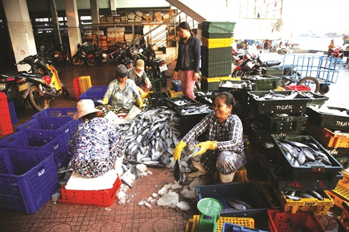 Chợ cá Hàm Tử nhộn nhịp hơn lúc về sáng khi các con tàu về bến Chợ cá Hàm Tử nhộn nhịp hơn lúc về sáng khi các con tàu về bến