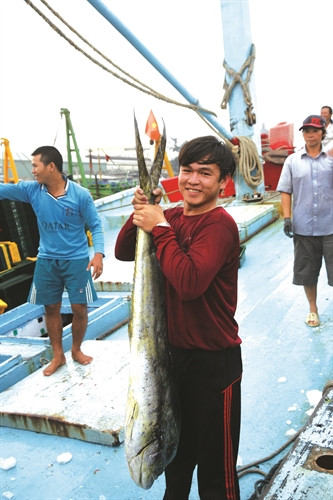 Thành quả của các ngư dân sau nhiều đêm đánh bắt ngoài khơi Thành quả của các ngư dân sau nhiều đêm đánh bắt ngoài khơi