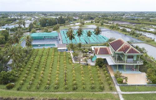 Diện mạo nông thôn ấp Ông Định, xã Tân Ân Tây, huyện Ngọc Hiển (Cà Mau). Ảnh: Huỳnh Thế Anh - TTXVN Diện mạo nông thôn ấp Ông Định, xã Tân Ân Tây, huyện Ngọc Hiển (Cà Mau). Ảnh: Huỳnh Thế Anh - TTXVN