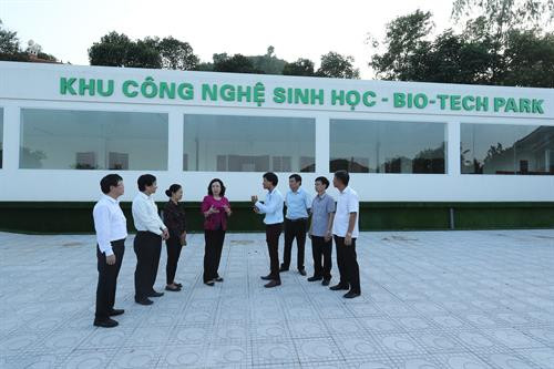 Kiểm tra xây dựng nông thôn mới, thăm các mô hình sản xuất nông nghiệp công nghệ cao tại huyện Thạch Thất ảnh 9