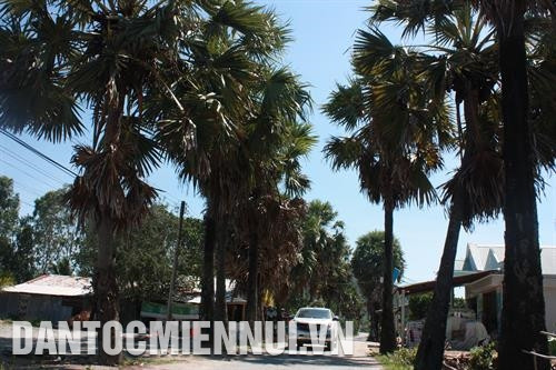 Các đảng viên người Khmer ở xã Thổ Sơn đã phát huy vai trò gương mẫu, tích cực thực hiện nếp sống văn minh, góp phần xây dựng ấp xanh - sạch - đẹp. Ảnh: Lê Sen Các đảng viên người Khmer ở xã Thổ Sơn đã phát huy vai trò gương mẫu, tích cực thực hiện nếp sống văn minh, góp phần xây dựng ấp xanh - sạch - đẹp. Ảnh: Lê Sen