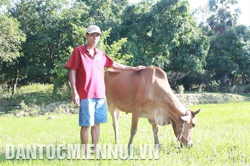 Các chi bộ trực thuộc Đảng bộ xã Thổ Sơn, huyện Hòn Đất thường xuyên họp chỉ đạo triển khai kế hoạch phát triển kinh tế - xã hội trên địa bàn. Ảnh: Lê Sen Các chi bộ trực thuộc Đảng bộ xã Thổ Sơn, huyện Hòn Đất thường xuyên họp chỉ đạo triển khai kế hoạch phát triển kinh tế - xã hội trên địa bàn. Ảnh: Lê Sen