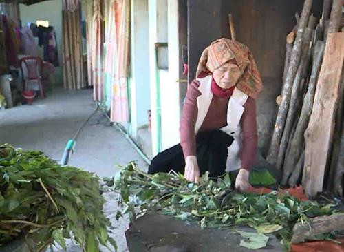 Bà Sánh chuẩn bị nguyên liệu nước tắm Bà Sánh chuẩn bị nguyên liệu nước tắm