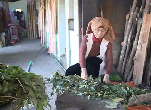 Bà Sánh chuẩn bị nguyên liệu nước tắm Bà Sánh chuẩn bị nguyên liệu nước tắm