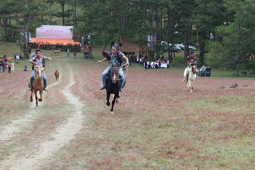 Các chiến mã trên đường đua. Ảnh: Nguyễn Dũng – TTXVN Các chiến mã trên đường đua. Ảnh: Nguyễn Dũng – TTXVN