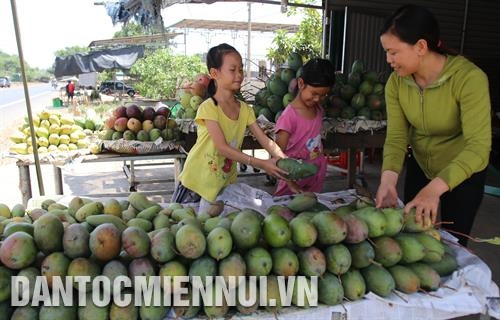 Sản phẩm hoa quả địa phương được bày bán trên quốc lộ 14 dọc xã Đắk Gằn. Ảnh: An Thành Đạt