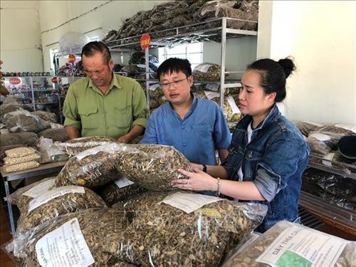 Sản phẩm nông nghiệp được bày bán phục vụ cho du khách tại huyện Con Cuông. Ảnh: Bích Huệ - TTXVN