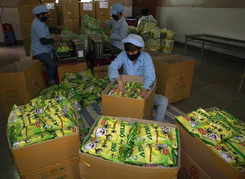 Mỗi năm, Công ty TNHH Vĩnh Tiến ở thành phố Đà Lạt tiêu thụ được hơn 100 tấn sản phẩm Atiso các loại, đạt doanh thu hơn 20 tỷ đồng, tạo việc làm và thu nhập ổn định cho 130 lao động. Ảnh: Vũ Sinh - TTXVN Mỗi năm, Công ty TNHH Vĩnh Tiến ở thành phố Đà Lạt tiêu thụ được hơn 100 tấn sản phẩm Atiso các loại, đạt doanh thu hơn 20 tỷ đồng, tạo việc làm và thu nhập ổn định cho 130 lao động. Ảnh: Vũ Sinh - TTXVN