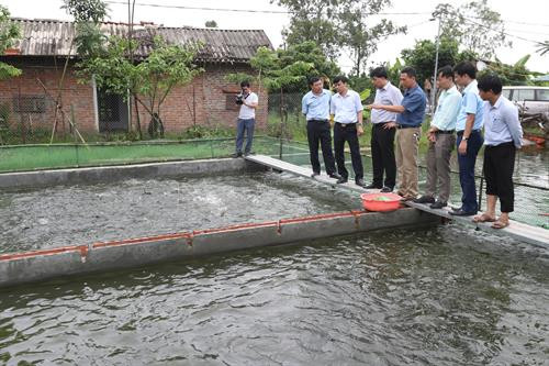 Lãnh đạo Sở Nông nghiệp và Phát triển nông thôn Hà Nội thăm quan mô hình nuôi cá rô phi đơn tính áp dụng công nghệ “sông trong ao” của gia đình anh Nguyễn Tuấn Văn ở thôn Thụy Khuê, xã Sài Sơn, huyện Quốc Oai (Hà Nội).