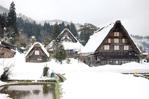 Shirakawago thuộc tỉnh Gifu, Nhật Bản. Đây là một trong những ngôi làng độc đáo của xứ Phù Tang. Mặc cho những biến đổi về kinh tế, thiên tai, Shirakawago vẫn giữ nguyên hình dáng, kiến trúc từ 400 năm trước. Shirakawago chỉ cách các thành phố lớn như Nagoya hay Kanazawa 2-3 tiếng đi xe buýt. Làng được UNESCO công nhận là di sản thế giới từ năm 1995. Hiện Shirakawago có khoảng 114 ngôi nhà với hơn 20 căn nhà cổ bằng gỗ được gìn giữ gần như nguyên vẹn. Điểm đặc biệt của những căn nhà này là mái nhà được thiết kế như bàn tay chắp vào nhau để cầu nguyện. Thiết kế này vừa mang tính tôn giáo vừa để chống chọi với những trận bão tuyết. Trong tiếng Nhật Bản, Shirakawago có nghĩa là bạch xuyên hương, tức làng của những con sông trắng. Người dân ở đây vẫn gìn giữ và duy trì nhiều nghi lễ cổ xưa có từ thế kỷ XVII. Một trong những lễ hội đặc biệt nhất ở đây là "Shirakawago Winter Light-up". Vào mùa đông, cả ngôi làng sẽ thắp sáng vào 6 đêm trong 3 tuần (mỗi tuần 2 đêm). Mỗi năm, làng Shirakawago chỉ lên đèn 6 lần nên mặc cho thời tiết giá lạnh, hàng nghìn du khách vẫn đổ về đây để được chiêm ngưỡng cảnh tượng đặc biệt này. Mỗi đêm, chỉ 500 du khách được leo lên đỉnh núi để chiêm ngưỡng khung cảnh độc nhất vô nhị này. Giữa tiết trời se lạnh, những ngôi nhà gỗ phủ đầy tuyết trắng đồng loạt lên đèn tạo nên một khung cảnh huyền ảo như bước ra từ một câu chuyện cổ tích. Du khách có thể đến làng Shirakawago suốt 4 mùa trong năm. Mùa nào cũng sẽ có những lễ hội truyền thống rất thú vị. Để vào làng, du khách phải đi qua một cây cầu dây dài 107 m. Người dân gọi đây là cầu Deaibasi, có nghĩa là cầu Kỳ duyên với mong muốn mọi người luôn hòa thuận, sum vầy. Mùa đông, cây cầu được phủ tuyết trắng, mùa xuân tuyết tan tạo thành một con suối nhỏ ngày đêm róc rách chảy. Trước cổng làng có một con sông nhỏ chạy men theo bìa rừng. Vào mùa thu, những hàng cây thay lá dọc 2 bờ sông tạo nên một khung cảnh lãng mạn cho làng cổ Shirakawago. Nhiệt độ trung bình ở làng Shirakawago vào mùa đông luôn dưới 0 độ C. Vào những ngày này, người dân rất ít ra ngoài, mọi sinh hoạt gia đình đều gói gọn trong ngôi nhà gỗ 3 tầng. Tầng một thường là phòng sum vầy, có lò sưởi. Các tầng tiếp theo dùng để nuôi tằm hoặc chứa các dụng cụ nông nghiệp. Ngày nay người dân ở Shirakawago không còn làm nông nhiều, những tầng này chủ yếu phục vụ du khách tham quan. Shirakawago thuộc tỉnh Gifu, Nhật Bản. Đây là một trong những ngôi làng độc đáo của xứ Phù Tang. Mặc cho những biến đổi về kinh tế, thiên tai, Shirakawago vẫn giữ nguyên hình dáng, kiến trúc từ 400 năm trước. Shirakawago chỉ cách các thành phố lớn như Nagoya hay Kanazawa 2-3 tiếng đi xe buýt. Làng được UNESCO công nhận là di sản thế giới từ năm 1995. Hiện Shirakawago có khoảng 114 ngôi nhà với hơn 20 căn nhà cổ bằng gỗ được gìn giữ gần như nguyên vẹn. Điểm đặc biệt của những căn nhà này là mái nhà được thiết kế như bàn tay chắp vào nhau để cầu nguyện. Thiết kế này vừa mang tính tôn giáo vừa để chống chọi với những trận bão tuyết. Trong tiếng Nhật Bản, Shirakawago có nghĩa là bạch xuyên hương, tức làng của những con sông trắng. Người dân ở đây vẫn gìn giữ và duy trì nhiều nghi lễ cổ xưa có từ thế kỷ XVII. Một trong những lễ hội đặc biệt nhất ở đây là "Shirakawago Winter Light-up". Vào mùa đông, cả ngôi làng sẽ thắp sáng vào 6 đêm trong 3 tuần (mỗi tuần 2 đêm). Mỗi năm, làng Shirakawago chỉ lên đèn 6 lần nên mặc cho thời tiết giá lạnh, hàng nghìn du khách vẫn đổ về đây để được chiêm ngưỡng cảnh tượng đặc biệt này. Mỗi đêm, chỉ 500 du khách được leo lên đỉnh núi để chiêm ngưỡng khung cảnh độc nhất vô nhị này. Giữa tiết trời se lạnh, những ngôi nhà gỗ phủ đầy tuyết trắng đồng loạt lên đèn tạo nên một khung cảnh huyền ảo như bước ra từ một câu chuyện cổ tích. Du khách có thể đến làng Shirakawago suốt 4 mùa trong năm. Mùa nào cũng sẽ có những lễ hội truyền thống rất thú vị. Để vào làng, du khách phải đi qua một cây cầu dây dài 107 m. Người dân gọi đây là cầu Deaibasi, có nghĩa là cầu Kỳ duyên với mong muốn mọi người luôn hòa thuận, sum vầy. Mùa đông, cây cầu được phủ tuyết trắng, mùa xuân tuyết tan tạo thành một con suối nhỏ ngày đêm róc rách chảy. Trước cổng làng có một con sông nhỏ chạy men theo bìa rừng. Vào mùa thu, những hàng cây thay lá dọc 2 bờ sông tạo nên một khung cảnh lãng mạn cho làng cổ Shirakawago. Nhiệt độ trung bình ở làng Shirakawago vào mùa đông luôn dưới 0 độ C. Vào những ngày này, người dân rất ít ra ngoài, mọi sinh hoạt gia đình đều gói gọn trong ngôi nhà gỗ 3 tầng. Tầng một thường là phòng sum vầy, có lò sưởi. Các tầng tiếp theo dùng để nuôi tằm hoặc chứa các dụng cụ nông nghiệp. Ngày nay người dân ở Shirakawago không còn làm nông nhiều, những tầng này chủ yếu phục vụ du khách tham quan.