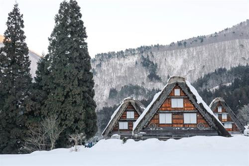 Lễ hội Shirakawago Winter Light- up thường diễn ra vào những ngày cuối tuần của tháng 1 và tháng 2. Du khách có thể bay thẳng đến Nagoya hoặc đi tàu từ các thành phố lớn như Tokyo hay Osaka đều được. Tuy nhiên vào những dịp lễ hội, làng Shirakawago thường rất đông, du khách cần chuẩn bị trước các phương án đi lại, ăn ở để không bị động trong chuyến đi. Lễ hội Shirakawago Winter Light- up thường diễn ra vào những ngày cuối tuần của tháng 1 và tháng 2. Du khách có thể bay thẳng đến Nagoya hoặc đi tàu từ các thành phố lớn như Tokyo hay Osaka đều được. Tuy nhiên vào những dịp lễ hội, làng Shirakawago thường rất đông, du khách cần chuẩn bị trước các phương án đi lại, ăn ở để không bị động trong chuyến đi.