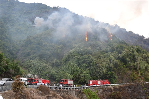 Cháy rừng đặc dụng Nam Hải Vân, Đà Nẵng. Ảnh: Đinh Văn Nhiều -TTXVN Cháy rừng đặc dụng Nam Hải Vân, Đà Nẵng. Ảnh: Đinh Văn Nhiều -TTXVN