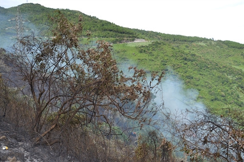 Đến chiều tối ngày 19/8, vụ cháy rừng đặc dụng Nam Hải Vân- Đà Nẵng đã cơ bản được khống chế. Đến chiều tối ngày 19/8, vụ cháy rừng đặc dụng Nam Hải Vân- Đà Nẵng đã cơ bản được khống chế.