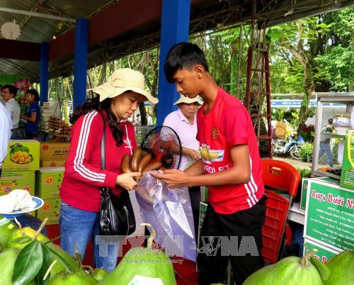 Khách hàng mua rau sạch tại Hội chợ. Ảnh: Hồng Nhung - TTXVN