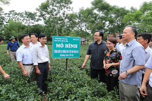Bí thư Thành ủy Hà Nội Hoàng Trung Hải thăm mô hình trồng và chế biến chè tại xã Ba Trại, huyện Ba Vì (Hà Nội). Ảnh: Hoàng Hà Xã Ba Trại, huyện Ba Vì (Hà Nội) hiện có 461 ha chè, trong đó có 40 ha đạt tiêu chuẩn VietGAP. Ảnh: Hoàng Hà Bí thư Thành ủy Hà Nội Hoàng Trung Hải trao đổi với bà con nông dân trồng chè ở xã Ba Trại, huyện Ba Vì (Hà Nội). Ảnh: Hoàng Hà