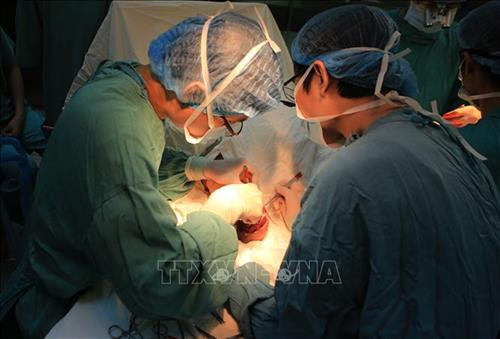 Bệnh viện Trung ương Huế là một trong những đơn vị dẫn đầu cả nước về số lượng dịch vụ kỹ thuật được áp dụng trong khám, chữa bệnh của tất cả các chuyên khoa. Đặc biệt trong những năm gần đây, Bệnh viện liên tiếp có nhiều đột phá trong các lĩnh vực điều trị kỹ thuật cao, chuyên sâu. Trong ảnh: Ca phẫu thuật vi phẫu bằng ứng dụng camera 3D phóng đại tại trung tâm chấn thương chỉnh hình Bệnh viện Trung ương Huế. Ảnh: Hồ Cầu – TTXVN Rừng ngập mặn như những bức bình phong bảo vệ an toàn cho thuyền bè neo đậu và nhà cửa của người dân phía trong đầm phá Tam Giang ở khu vực xã Quảng Lợi, huyện Quảng Điền. Ảnh: Hồ Cầu – TTXVN Bệnh viện Trung ương Huế là một trong những đơn vị dẫn đầu cả nước về số lượng dịch vụ kỹ thuật được áp dụng trong khám, chữa bệnh của tất cả các chuyên khoa. Đặc biệt trong những năm gần đây, Bệnh viện liên tiếp có nhiều đột phá trong các lĩnh vực điều trị kỹ thuật cao, chuyên sâu. Trong ảnh: Ca phẫu thuật vi phẫu bằng ứng dụng camera 3D phóng đại tại trung tâm chấn thương chỉnh hình Bệnh viện Trung ương Huế. Ảnh: Hồ Cầu – TTXVN Rừng ngập mặn như những bức bình phong bảo vệ an toàn cho thuyền bè neo đậu và nhà cửa của người dân phía trong đầm phá Tam Giang ở khu vực xã Quảng Lợi, huyện Quảng Điền. Ảnh: Hồ Cầu – TTXVN