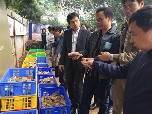 Các di vật được phát hiện qua khai quật thăm dò khu vực Chính điện Kính Thiên. Ảnh: Đinh Thuận - TTXVN Các di vật được phát hiện qua khai quật thăm dò khu vực Chính điện Kính Thiên. Ảnh: Đinh Thuận - TTXVN