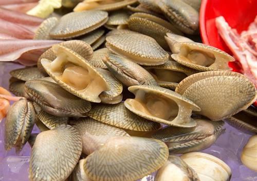 Con chíp chíp - đặc sản Đà Nẵng ảnh 5