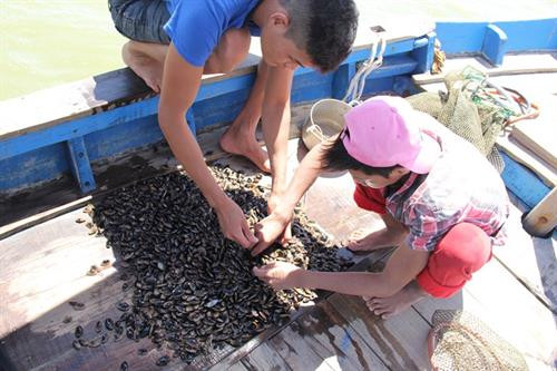 Con chíp chíp - đặc sản Đà Nẵng ảnh 1