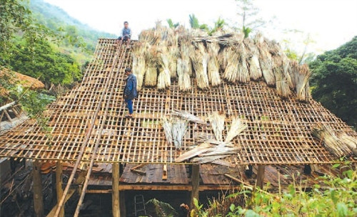 Người Mường làm nhà mới. Người Mường làm nhà mới.