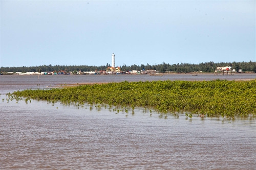 Vườn Quốc gia Xuân Thủy có tổng diện tích tự nhiên là 7.100 ha. Vườn Quốc gia Xuân Thủy có tổng diện tích tự nhiên là 7.100 ha.