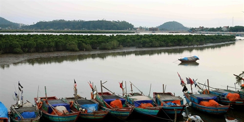 Hệ thống rừng ngập mặn phát triển thuận lợi. Ảnh: Thanh Tùng/TTXVN Hệ thống rừng ngập mặn phát triển thuận lợi. Ảnh: Thanh Tùng/TTXVN