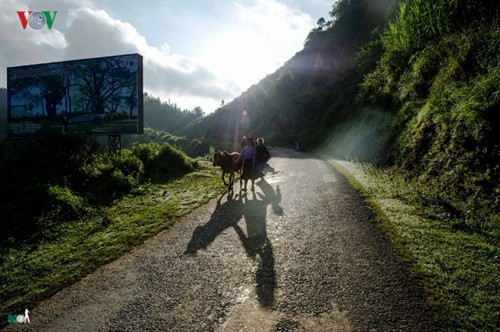 Có lẽ vì thế mà trong lao động vất vả, người ta vẫn thấy những điều thật đẹp đẽ. Đó là sự yêu đời, lạc quan hiếm có với tiếng hát và những nụ cười như bừng sáng cùng màu nắng.