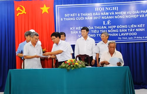 Công ty Cổ phần Lavifood ký hợp đồng mua sản phẩm trái cây cho nông dân Tây Ninh. Ảnh: Lê Đức Hoảnh - TTXVN