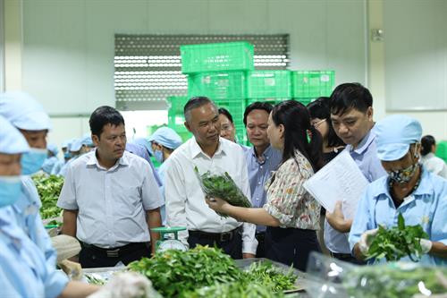 Đoàn kiểm tra một số cơ sở sản xuất nông lâm thủy sản an toàn tiêu thụ tại tỉnh Hà Nam và cung ứng cho thành phố Hà Nội.