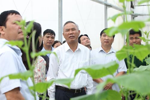 Đoàn kiểm tra một số cơ sở sản xuất nông lâm thủy sản an toàn tiêu thụ tại tỉnh Hà Nam và cung ứng cho thành phố Hà Nội.