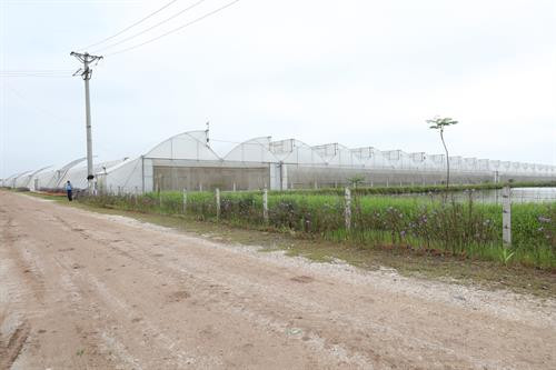 Đoàn kiểm tra một số cơ sở sản xuất nông lâm thủy sản an toàn tiêu thụ tại tỉnh Hà Nam và cung ứng cho thành phố Hà Nội.