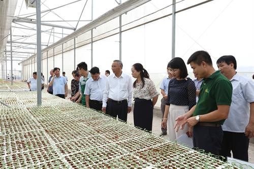 Đoàn kiểm tra một số cơ sở sản xuất nông lâm thủy sản an toàn tiêu thụ tại tỉnh Hà Nam và cung ứng cho thành phố Hà Nội.