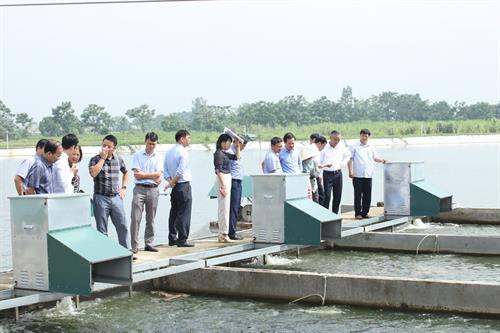 Kiểm tra tình hình sản xuất thủy sản tại Hợp tác xã nông sản Bảo An.