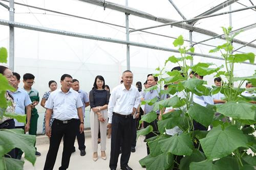 Đoàn kiểm tra một số cơ sở sản xuất nông lâm thủy sản an toàn tiêu thụ tại tỉnh Hà Nam và cung ứng cho thành phố Hà Nội.