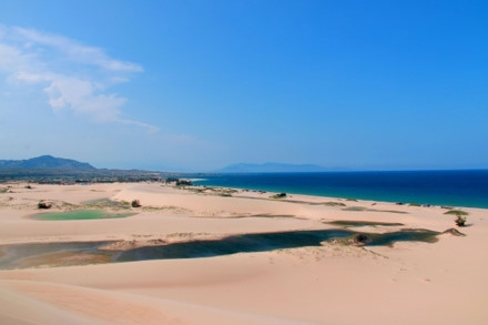 Sơn Hải - nơi đồi cát hùng vĩ chạy ra sát biển đẹp mê hồn ảnh 12